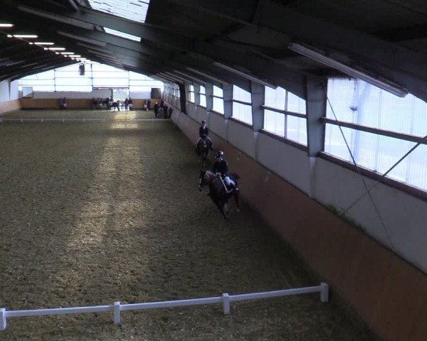 Reitturnier Datteln 2022