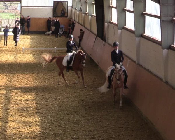 Reitturnier Datteln 2022