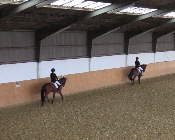Reitturnier Datteln 2022