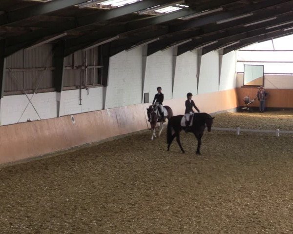 Reitturnier Datteln 2022