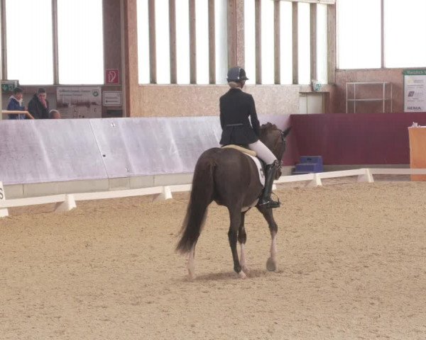Reitturnier Balingen 2022