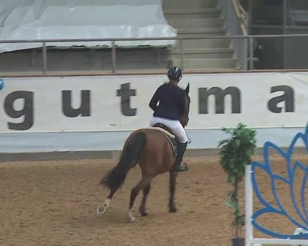 Reitturnier Kreuth 2022