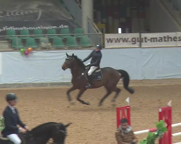 Reitturnier Kreuth 2022