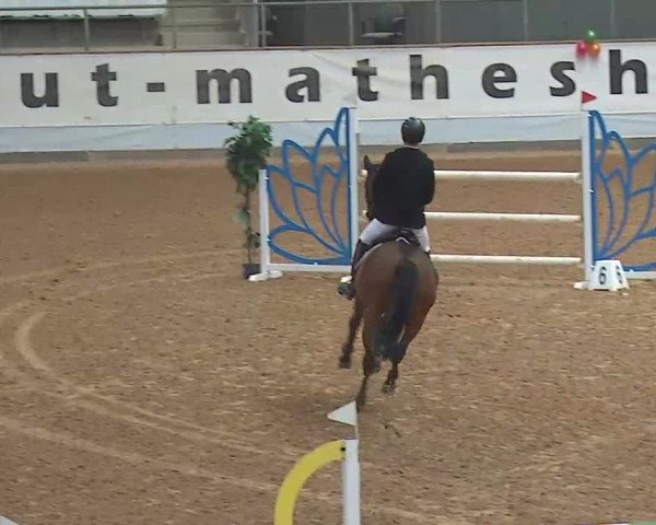 Reitturnier Kreuth 2022