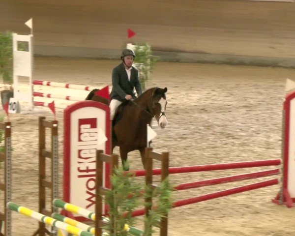 Reitturnier Schaffhausen 2022