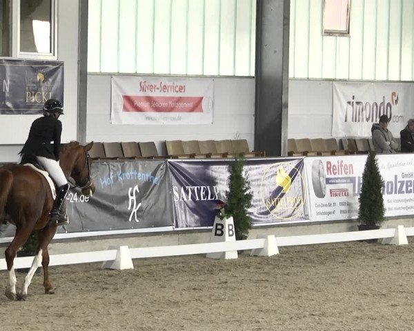Reitturnier Karlsfeld 2022