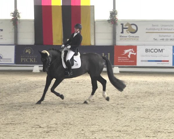 Reitturnier Karlsfeld 2022