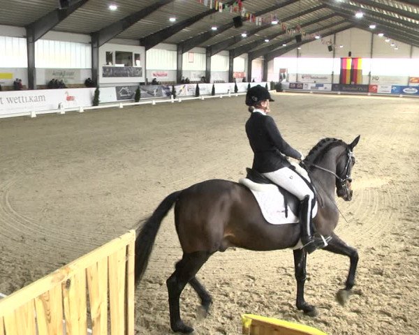Reitturnier Karlsfeld 2022
