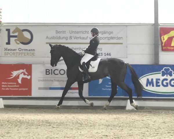 Reitturnier Karlsfeld 2022