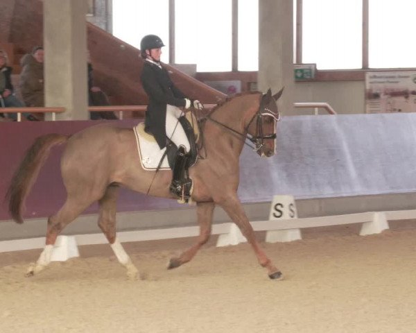 Reitturnier Balingen 2022