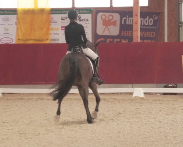 Reitturnier Balingen 2022