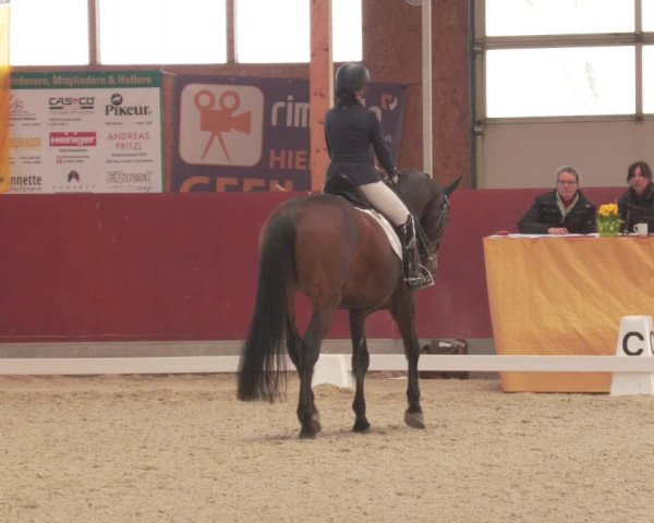 Reitturnier Balingen 2022