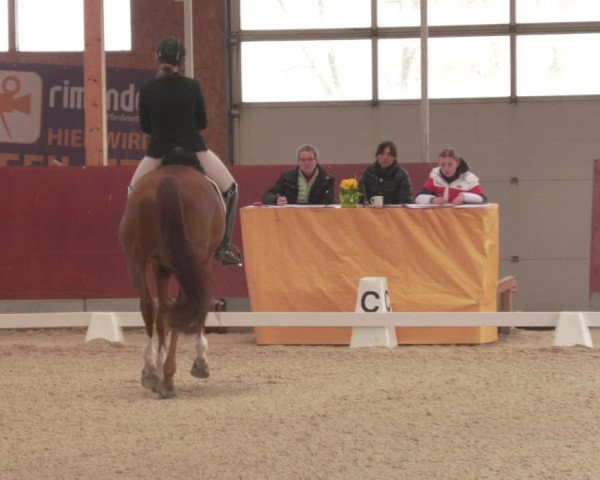 Reitturnier Balingen 2022