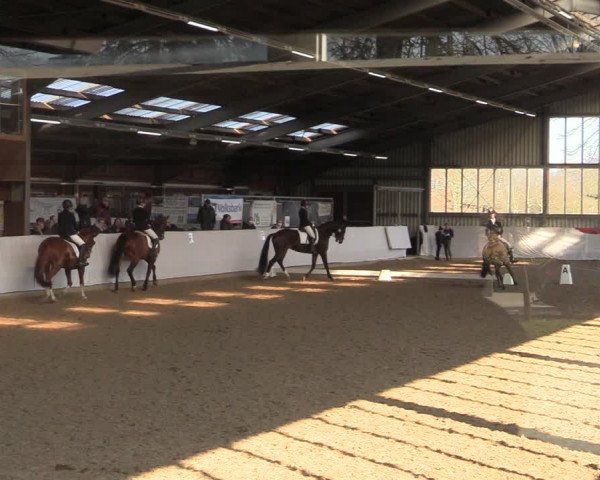 Reitturnier Greven 2022