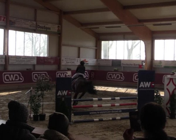 Reitturnier Goch-Asperden 2022
