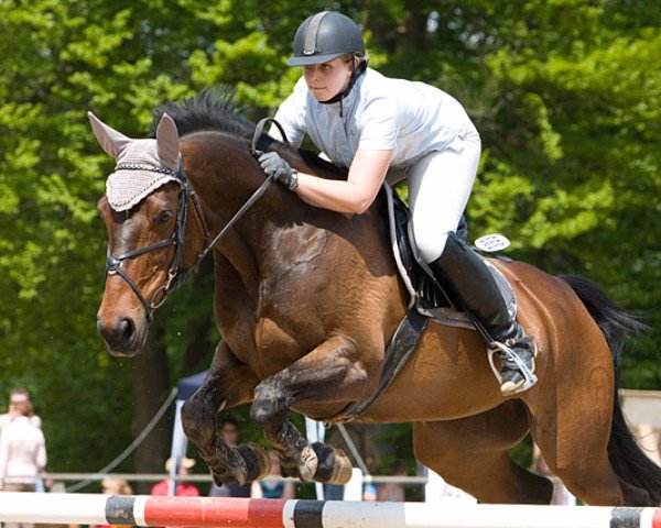 jumper Thorina 2 (Hessian Warmblood, 1997, from Tango)