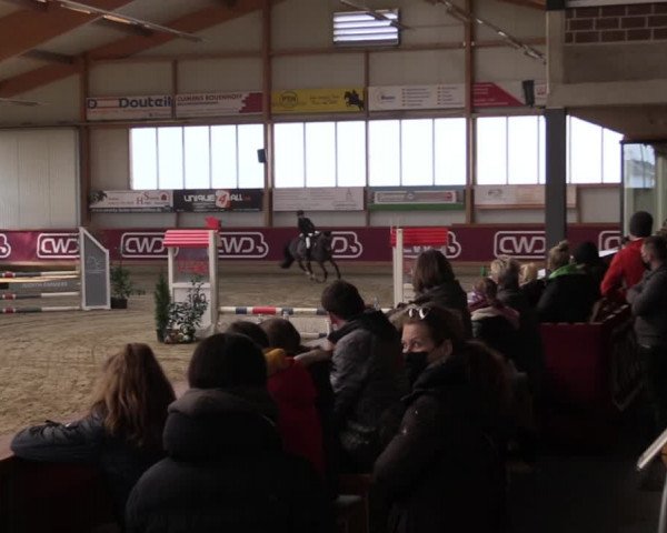 Reitturnier Goch-Asperden 2022