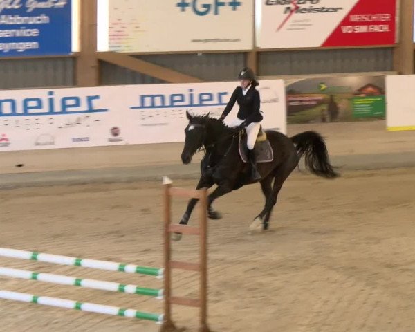 Reitturnier Schaffhausen 2022