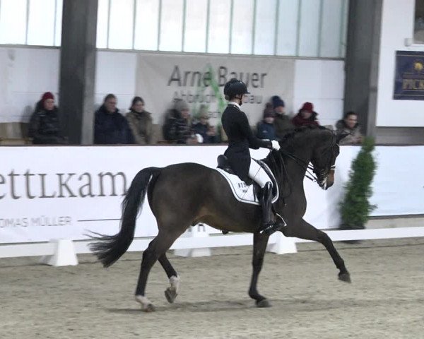 Reitturnier Karlsfeld 2022