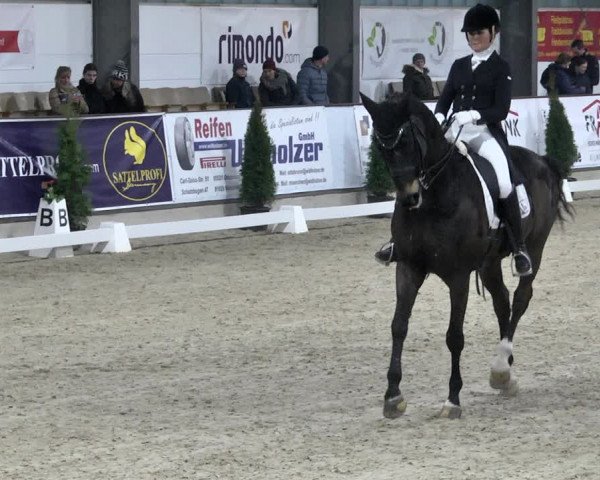 Reitturnier Karlsfeld 2022