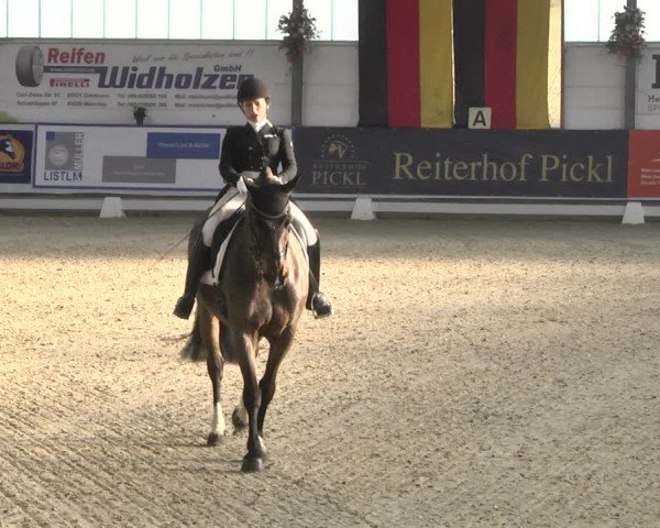 Reitturnier Karlsfeld 2022