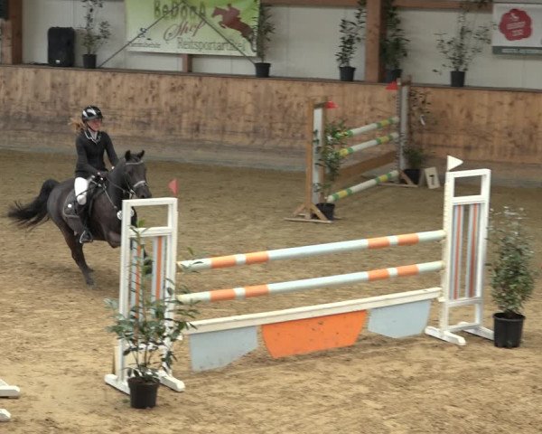 Reitturnier Gehrde - Klein Drehle 2022