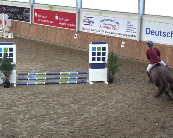 Reitturnier Vreden 2022