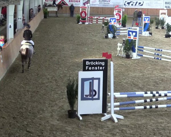 Reitturnier Vreden 2022