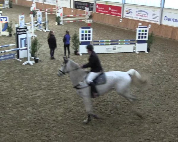 Reitturnier Vreden 2022