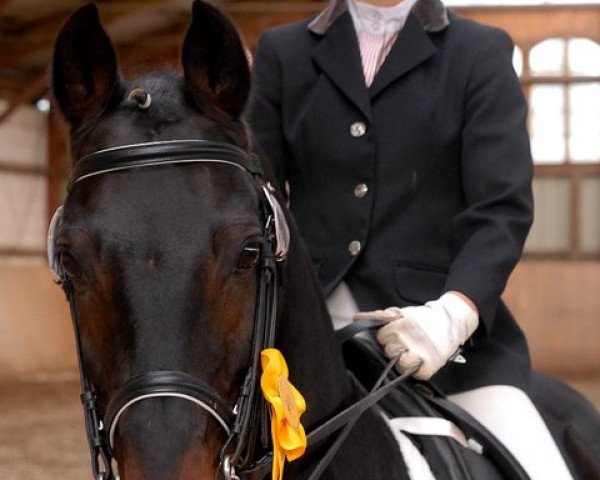 dressage horse Top Mariano (Westphalian, 1990, from Marquis AA)