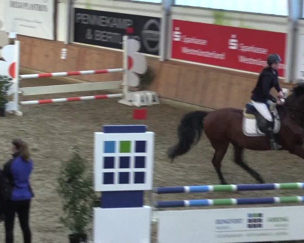 Reitturnier Vreden 2022