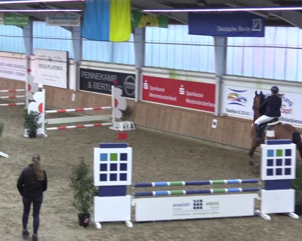 Reitturnier Vreden 2022