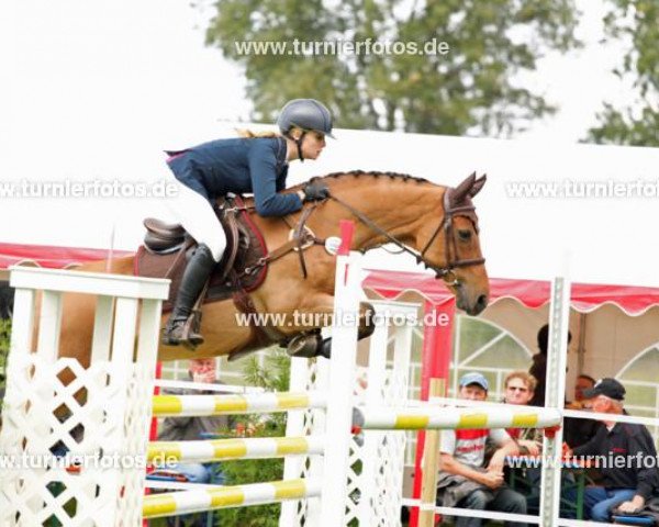 jumper Eternity 30 (German Riding Pony, 1998, from Eldorrado)