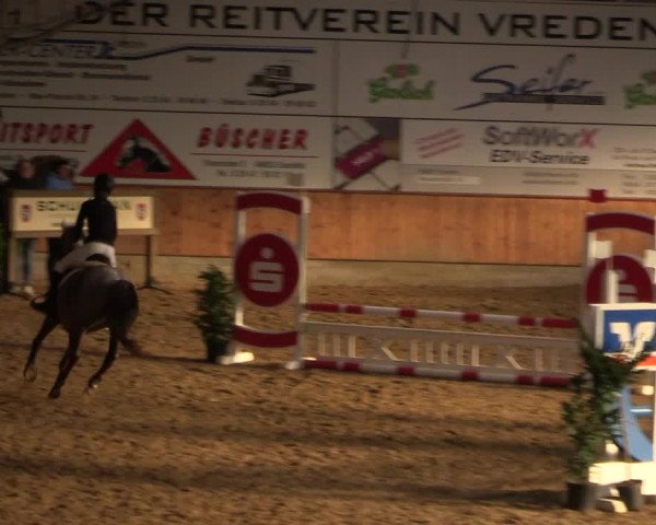 Reitturnier Vreden 2022