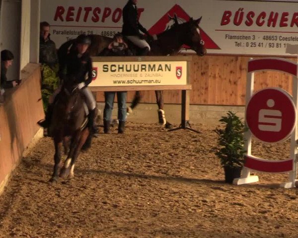 Reitturnier Vreden 2022