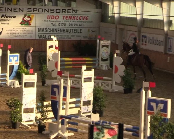 Reitturnier Vreden 2022