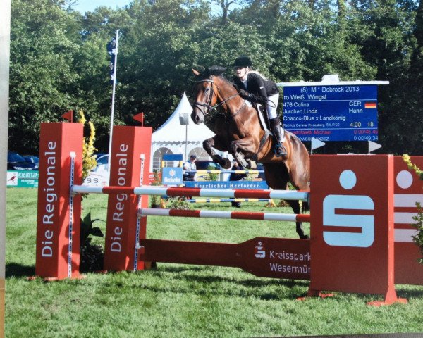 broodmare Colina (Hanoverian, 2006, from Chacco-Blue)