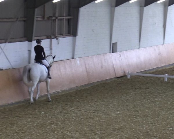 Reitturnier Datteln 2022