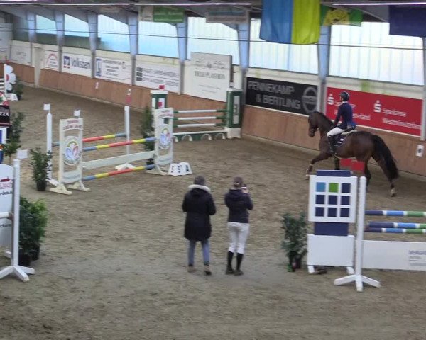 Reitturnier Vreden 2022