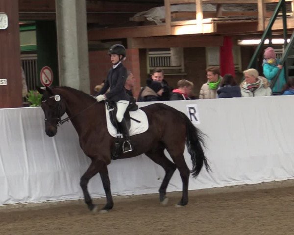 Reitturnier Greven 2022