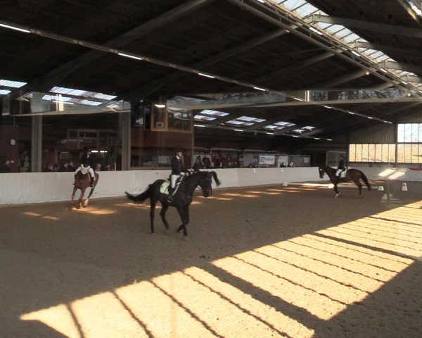 Reitturnier Greven 2022