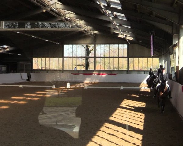 Reitturnier Greven 2022