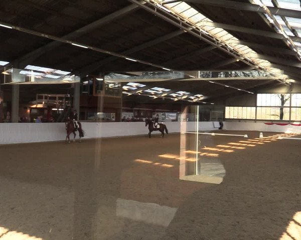 Reitturnier Greven 2022
