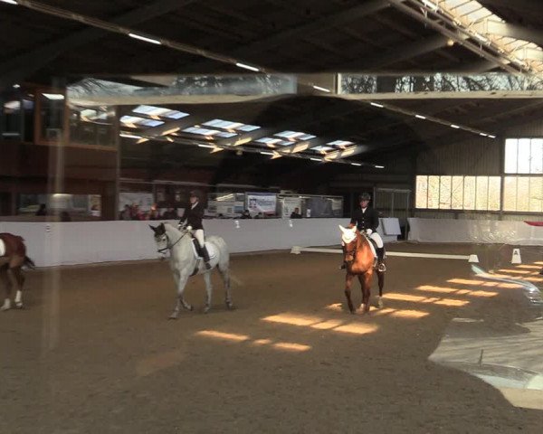 Reitturnier Greven 2022