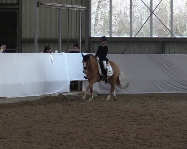 Reitturnier Greven 2022