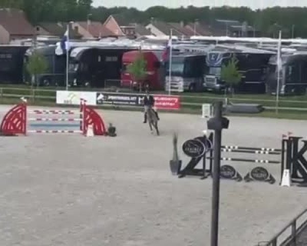 Video of Zora