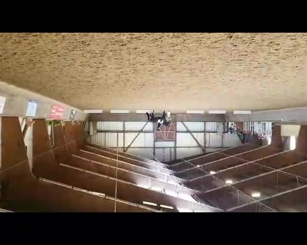 Video von Donna Dalea