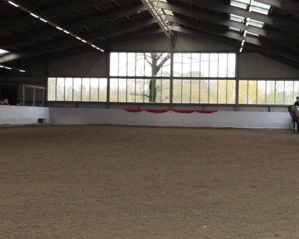 Reitturnier Greven 2022