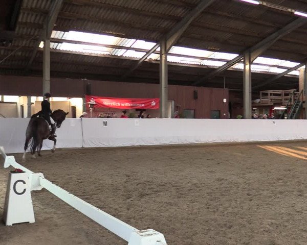 Reitturnier Greven 2022