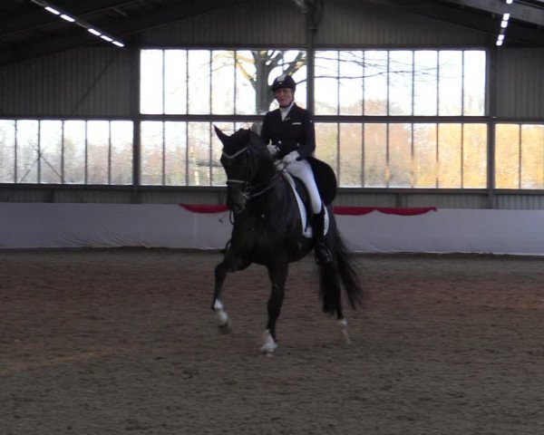 Reitturnier Greven 2022